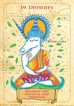 Enchanted Unicorn Oracle Cards